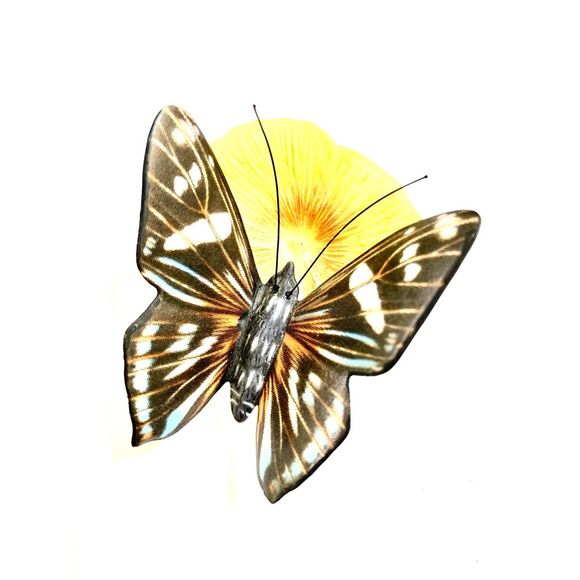 Franklin Mint world Butterflies Mangrove Skipper #butterfly - Picture 1 of 4